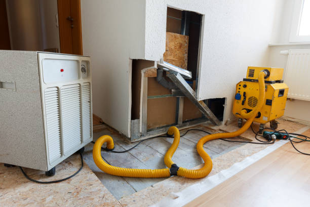 Biohazard Mold Removal in Holland, OH